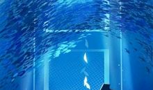 有爱情的友情的句子