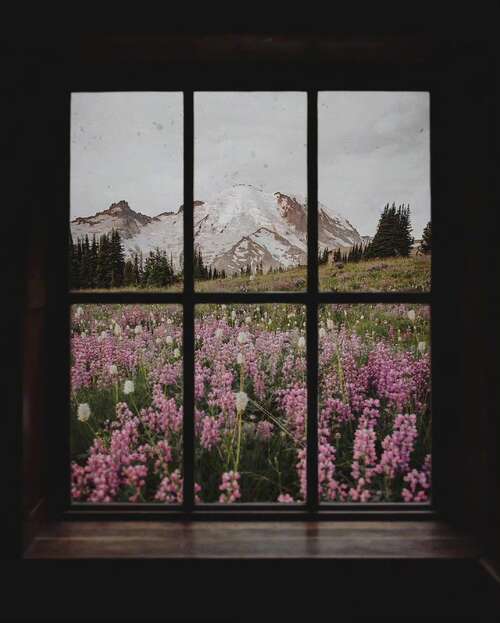 15.我会告别黄昏，休息的黑暗，隐藏的黑暗，落到你的光线。