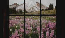 提醒自己善良的哲理句子