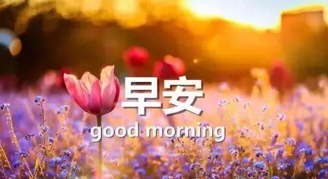 早上好2021年最新的积极能量1
