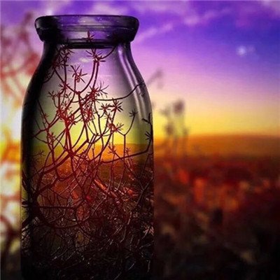 关于收集朋友的句子1