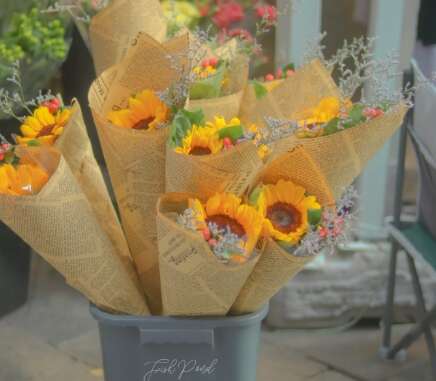 20.平安充满努力充满力量。