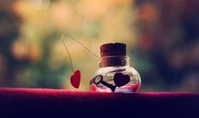 过年不能回家怎么安慰