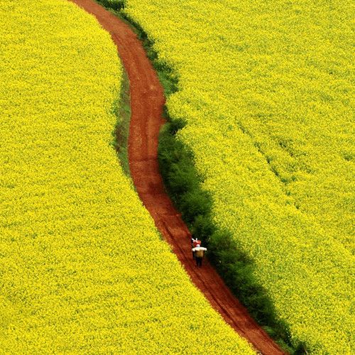 友谊的一种善意句子1