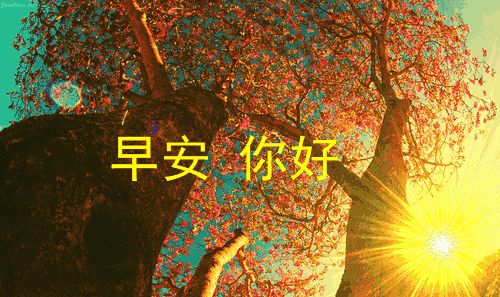 15，靠在你身上，靠在你身边，靠在你身边，靠在你思考。因为你，早上好，生活的每一个兴奋都很好！