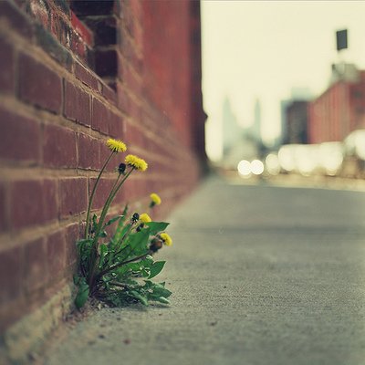 使用亲密1描述友谊的句子