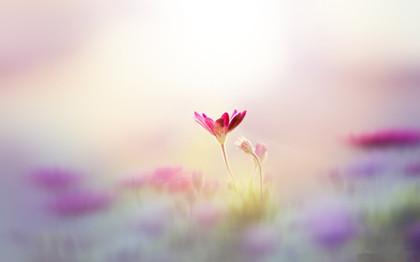 问候女孩的早晨问候