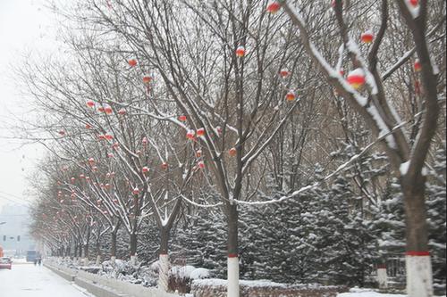 15，护理不是爆竹，它将结束;关注的是不是一天，之后，这是过去五百年的祝福，在你的思想中，没有一天，没有天，没有夜父！天空变冷，注意保持温暖！