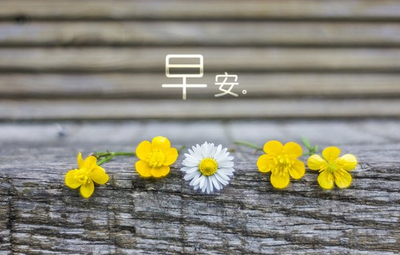 心痛你丈夫的朋友圈说话