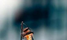 晚上睡觉前发朋友圈好句子