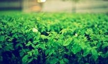 2021最新句子微信说说