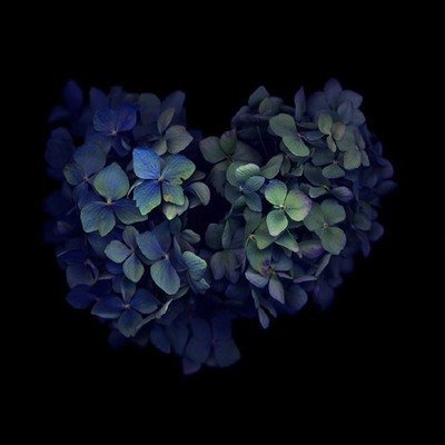 15，我们必须再次见到你，如果有自己被自己强迫的锄头，你会发现它惩罚她;如果有一个没有敢于因为他的穷人而不敢去的女孩，你必须摆脱她。虽然我不知道是谁会先死去，那么死亡的日子，它已经死了，我们不会溶解。 “