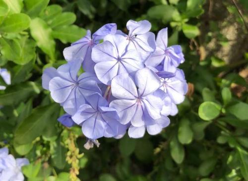 客人今天有留言