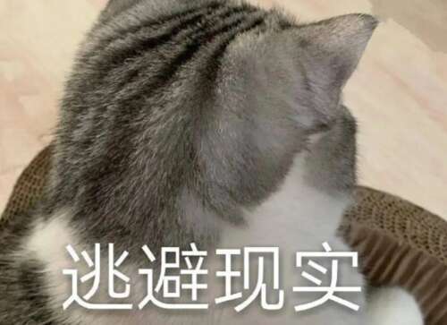 Tucao天气冷砂剪垃圾桶1