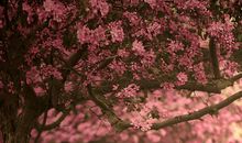 好听的句子关于友情兄弟