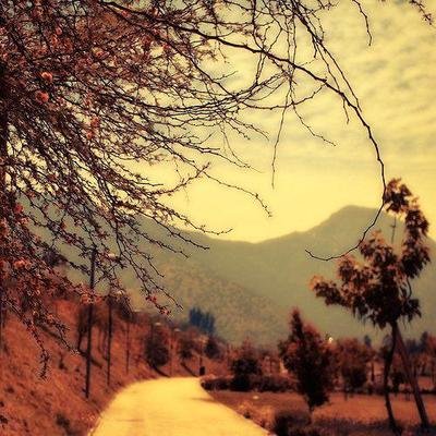 15.考试，散落了多少爱情。