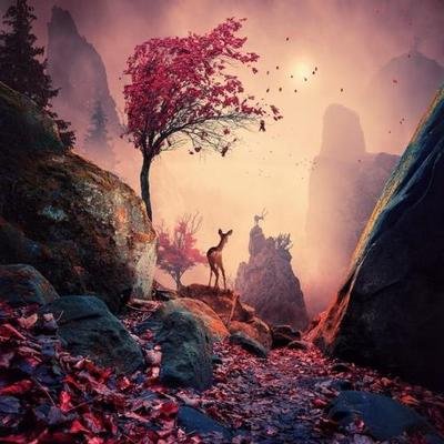 兴趣和友谊句子1