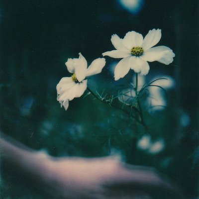 幼儿园朋友友谊句