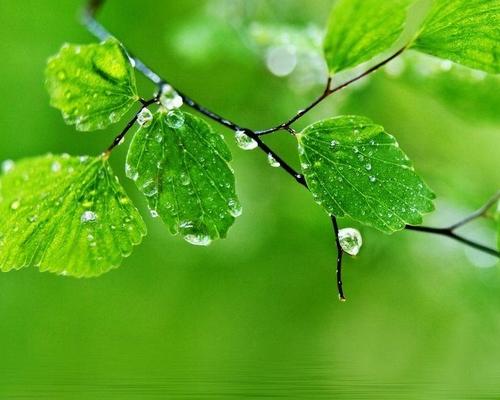 15.夏季高温并不令人沮丧，伴随着对你的微风，原来，你会凉爽的“夏天”，愿意轻松快乐地闲逛。