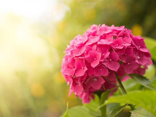 周末为客户问候