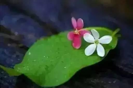 周末向客户致意