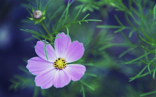 冬季周末短信问候简单1