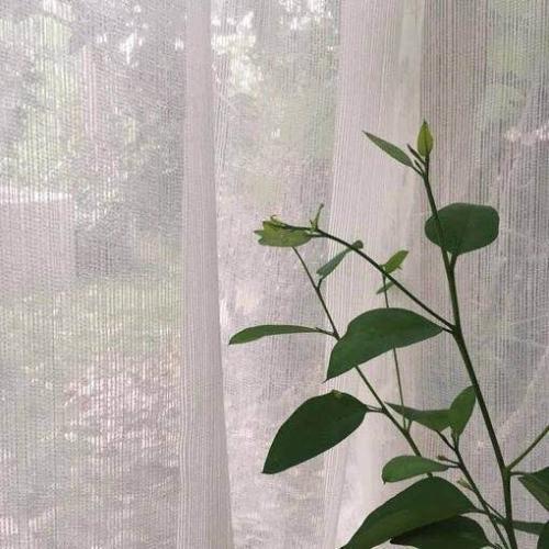 呼叫结束回复问候SMS 1