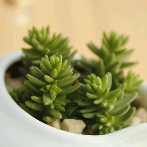 呼叫结束回复问候短信