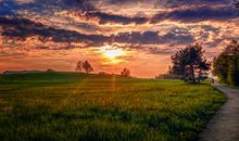 早上问候语短信大全