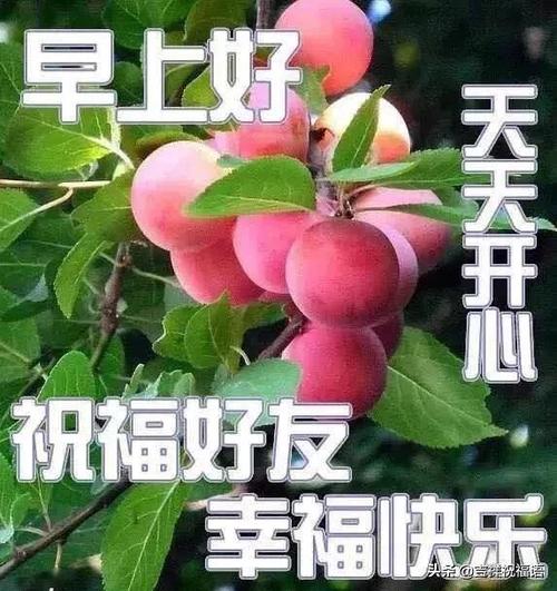 三月问候短信