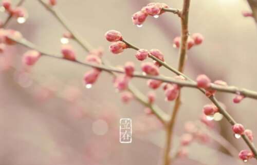 51.用春雨跑你的胸膛，让你的胸部感到满了。