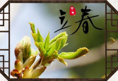 李春的句子美丽抒情