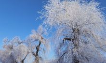 雾凇发朋友圈配一句话 雾凇文案短句