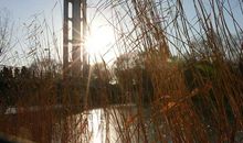 励志句子简短经典语录