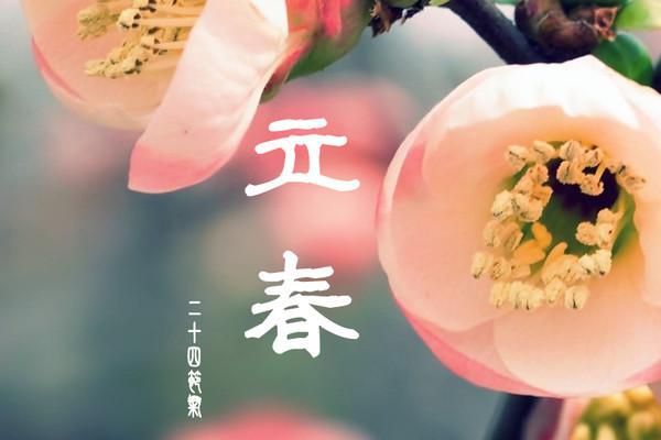 30，春天的活动真的活泼，傅子英门正在笑，四个赛季和平与春天洪水，来到今年，瑞灵象峰年，吃春卷，咀嚼萝卜，甜美，又美丽！