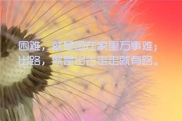 2021最独家的金句