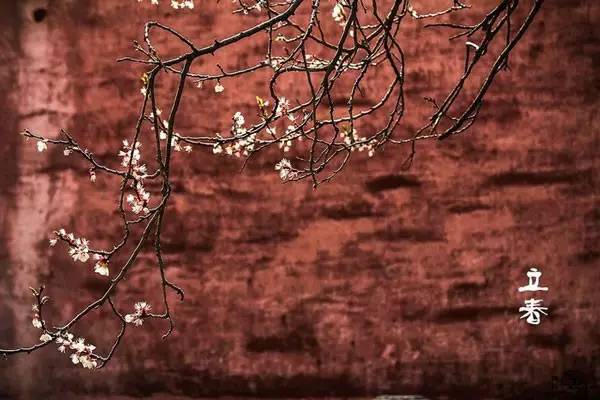 46，快乐，我的朋友，祝你永远幸福。