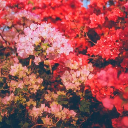 机器笑了带，并不是一个恐惧的大厅。