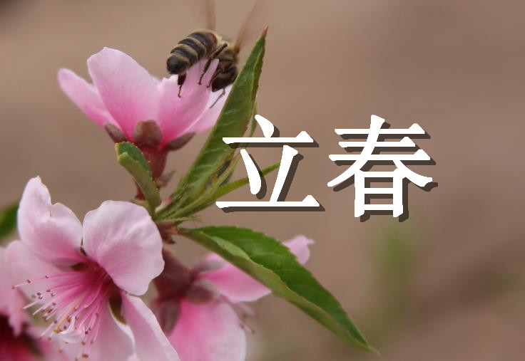 15，冬天生气，春天很近，油门即将到来春天，祝福的数量，我是最温暖的，祝你好运是，幸福就像井喷，心情快乐和潮湿，原因是成功的，美丽是快乐，美丽，甜蜜和友谊真的！李淑就在这里，我希望你的好运从春天开始，每天都很开心！