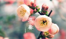 立春唯美说说句子