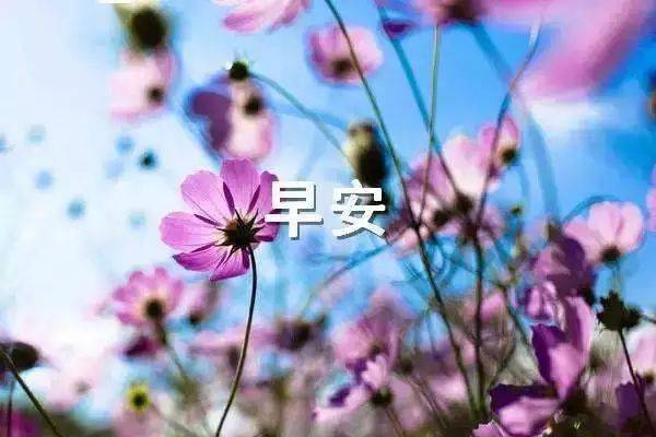 18.有些人担心漂移不称为徘徊。有些人更哭泣。他们不被称为悲伤。有些人称之为他们的爱情。有些人被幸福分享。祝你幸福快乐！早上好！