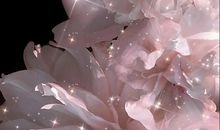 一发就会被秒赞的句子和配图