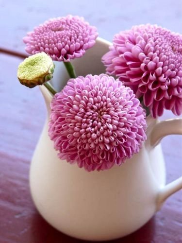 情人节展示爱情甜蜜的句子