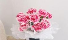 适合妇女节发微信的说说句子