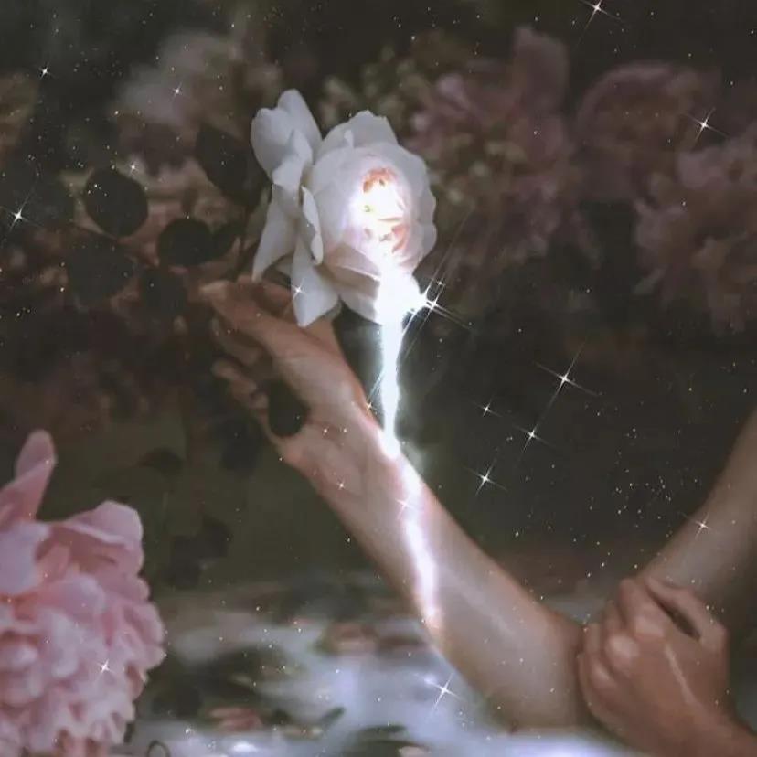 朋友圈高端播放案例有一个纹理的句子