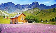 佛经中写友情的句子