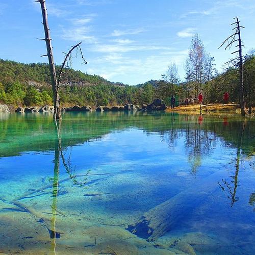 关于友谊哲学的判决