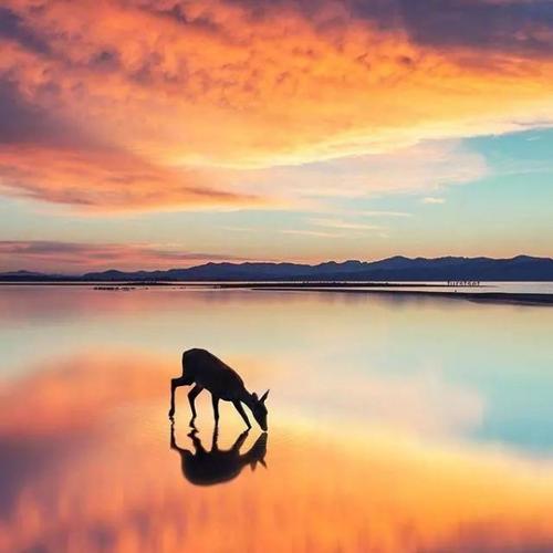 网易云热评论新友谊1