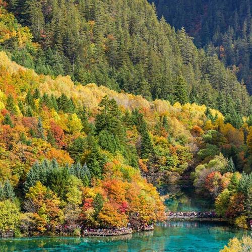 15.人们的熟人，知道昂贵;人们彼此了解，昂贵。 “在约会方面，古人注意到心脏，他们是朋友。