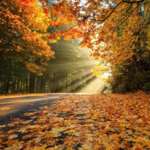 有趣的曲调，儿童的句子1